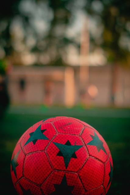 曼聯宣布隊內法國中場博格巴自由身離隊.