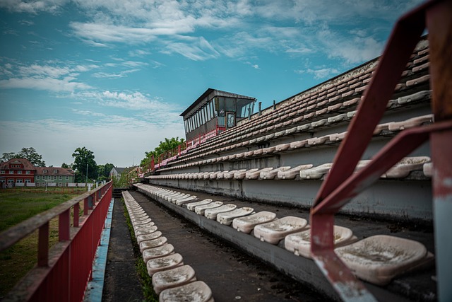 从担任南部 从担任南部