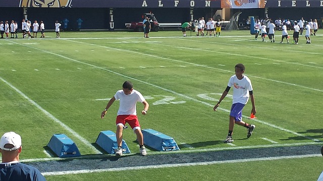 尽管没有梅 尽管没有梅