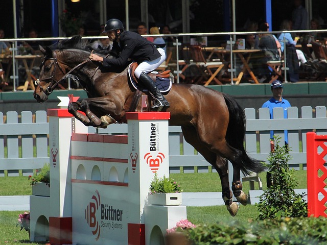 动荡的管理 动荡的管理