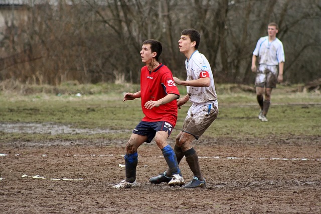 他们了解到 他们了解到