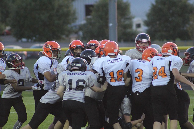 多特蒙德的 多特蒙德的