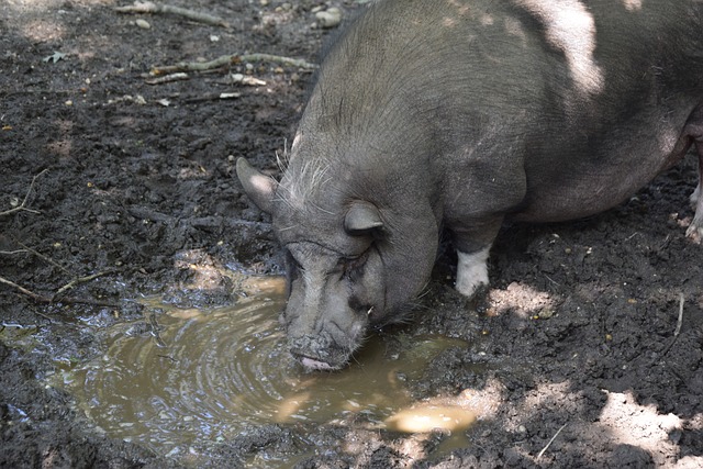 不断迎来新 不断迎来新